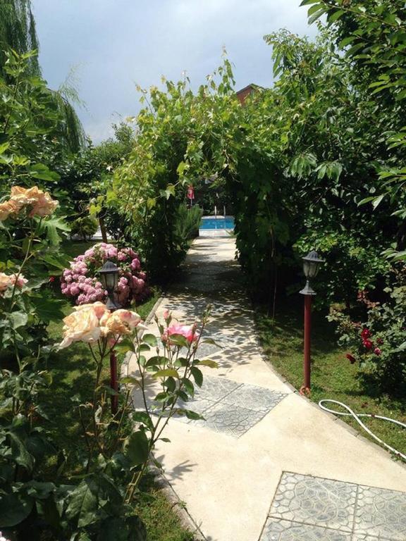 Villa Amsterdam Ohrid Esterno foto