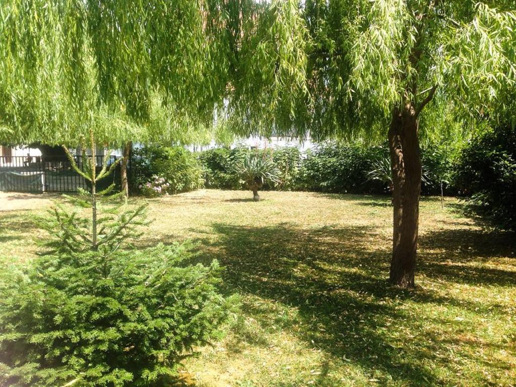 Villa Amsterdam Ohrid Esterno foto