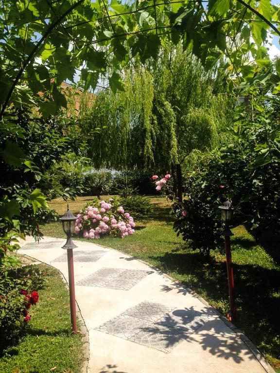 Villa Amsterdam Ohrid Esterno foto