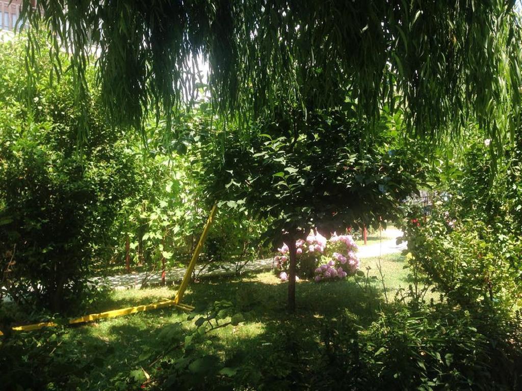 Villa Amsterdam Ohrid Esterno foto