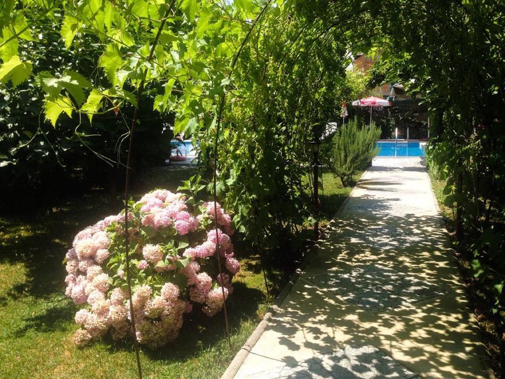 Villa Amsterdam Ohrid Esterno foto